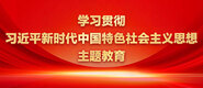 插入学生妹BB视频学习贯彻习近平新时代中国特色社会主义思想主题教育_fororder_ad-371X160(2)